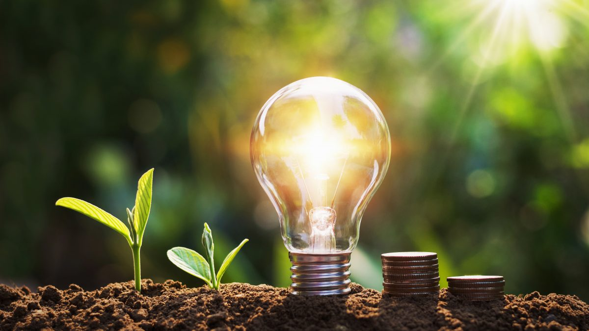 Glowing light bulb set in soil between young seedlings and stacks of coins